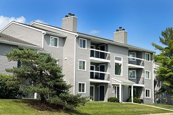 An apartment building with gray siding and a tree in the yard
